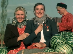 Кубанские казаки